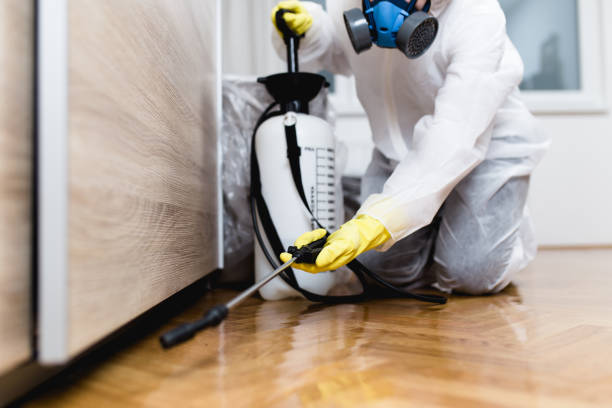 Insect Control in Linden, CA
