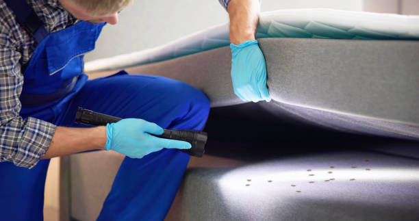 Best Best Pest Control Near Me  in Linden, CA